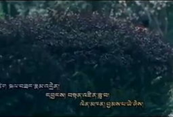 追风短视频,捕捉潮流瞬息，展现青春风采