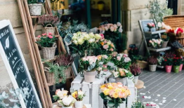 花店桑的漫画,花语中的情感旅程